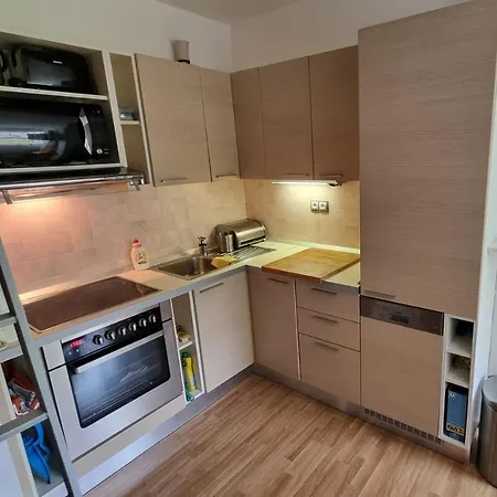 Apartman Rokytnice, Rokytno 20 Rokytnice nad Jizerou Exterior photo