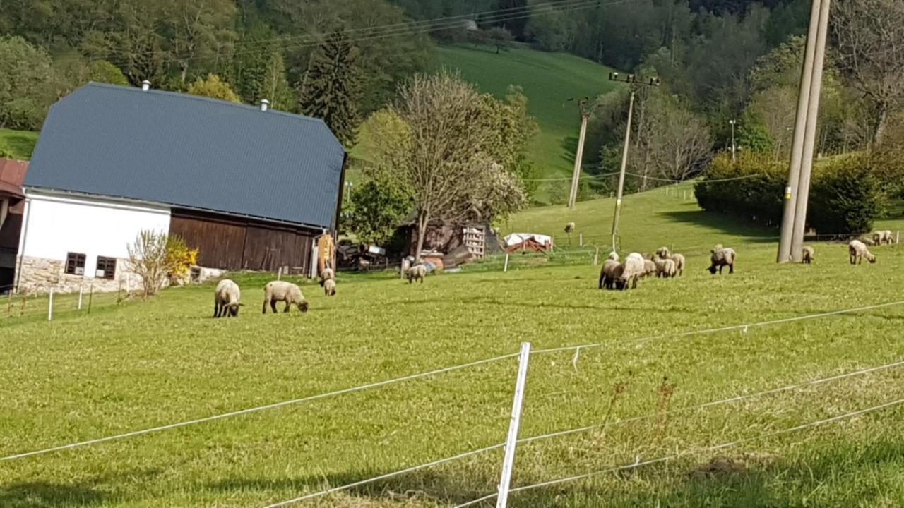 Rokytnice, Rokytno 20 Rokytnice nad Jizerou