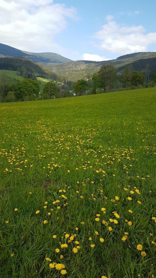Rokytnice, Rokytno 20 Rokytnice nad Jizerou